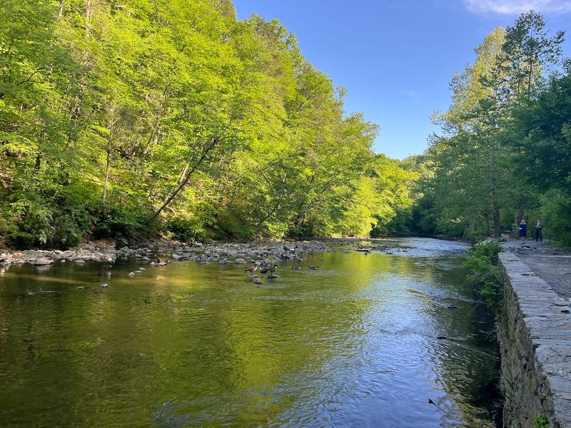 Wissahickon Creek: A Living, Breathing Trail Companion