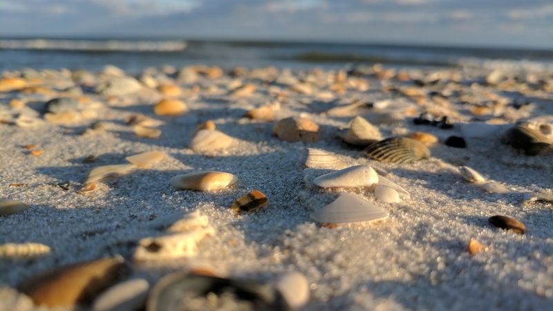 St. George Island State Park