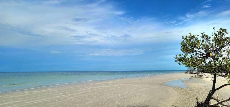 Honeymoon Island State Park