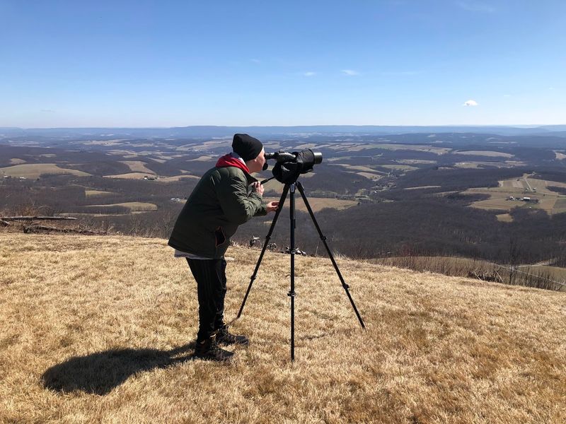 Allegheny Front Hawk Watch (Somerset County)
