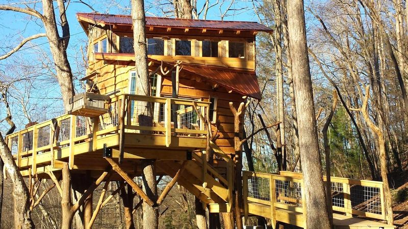 Blue Ridge Treehouse at Bear Claw Vineyards