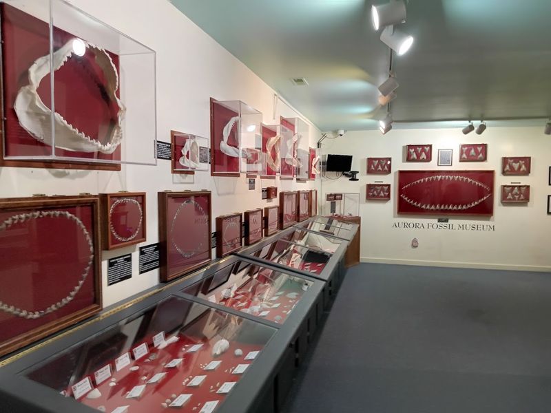 Indoor Exhibits That Bring Prehistory to Life