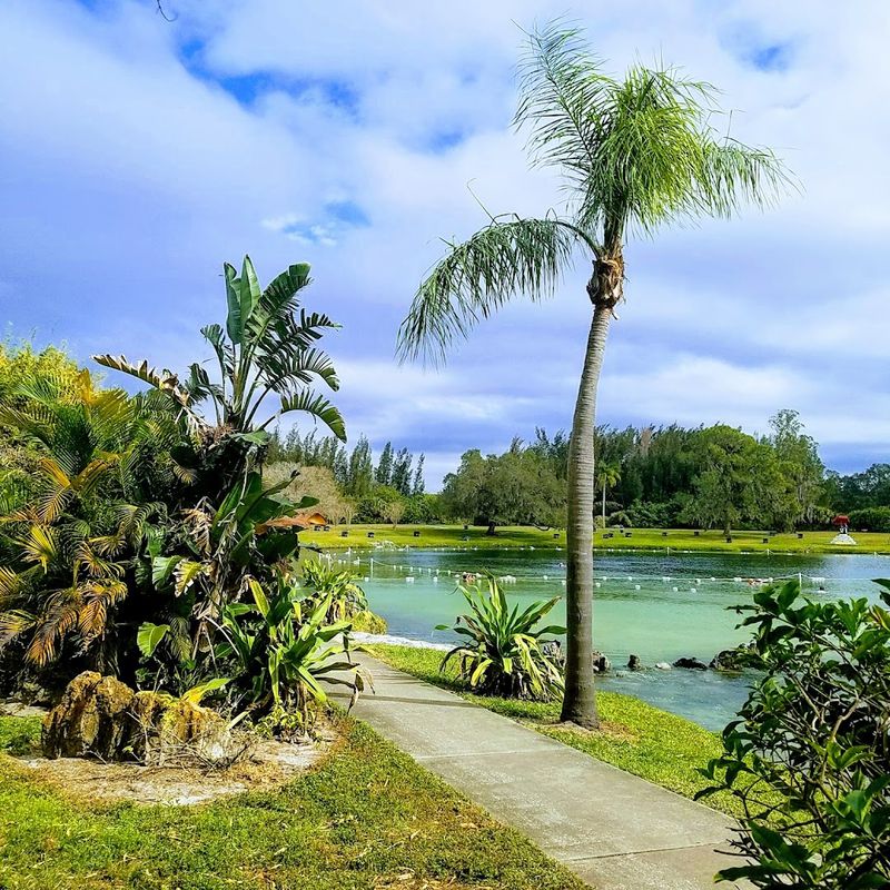 A Constantly Refreshing Natural Pool