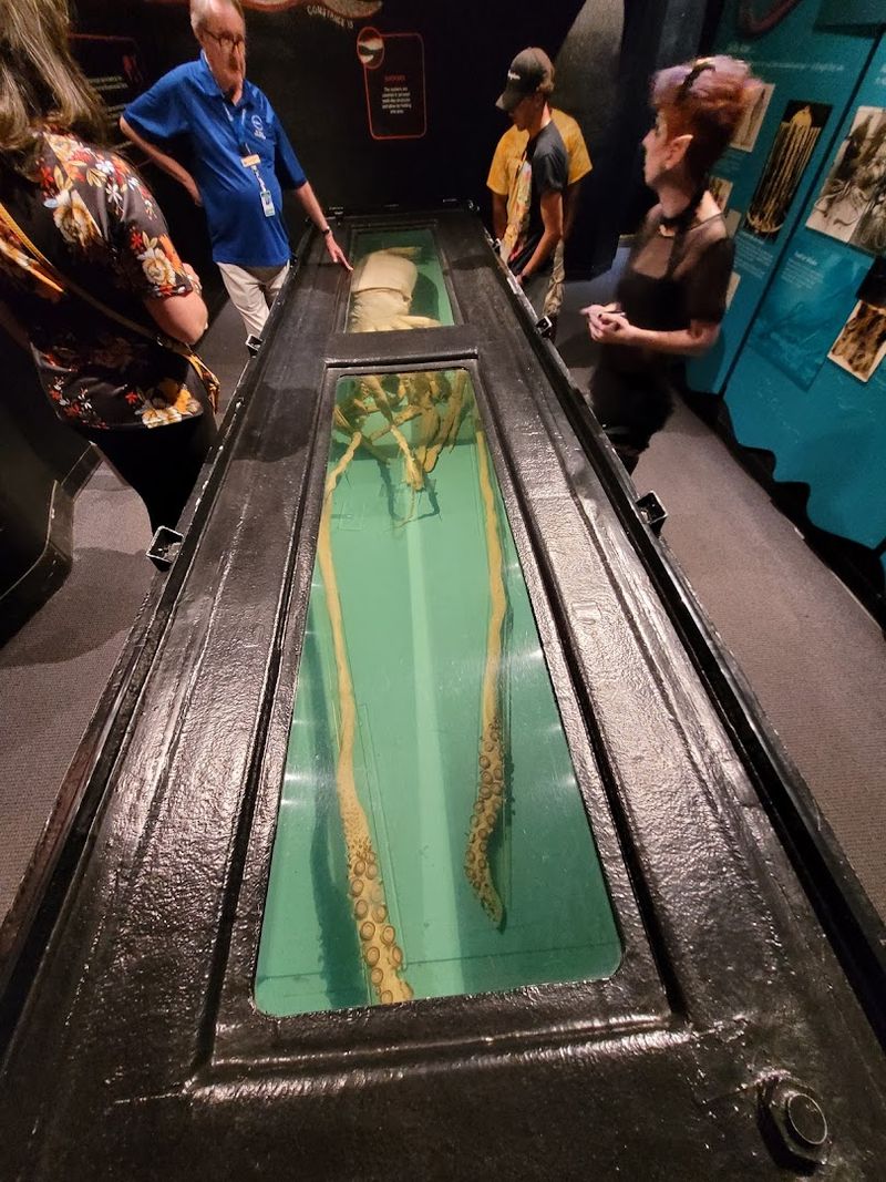 Science Is the Main Attraction