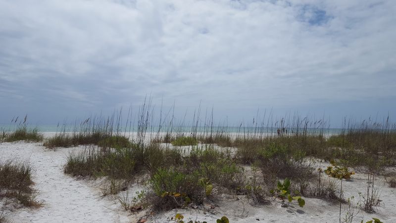 Important Sea Turtle Nesting Grounds