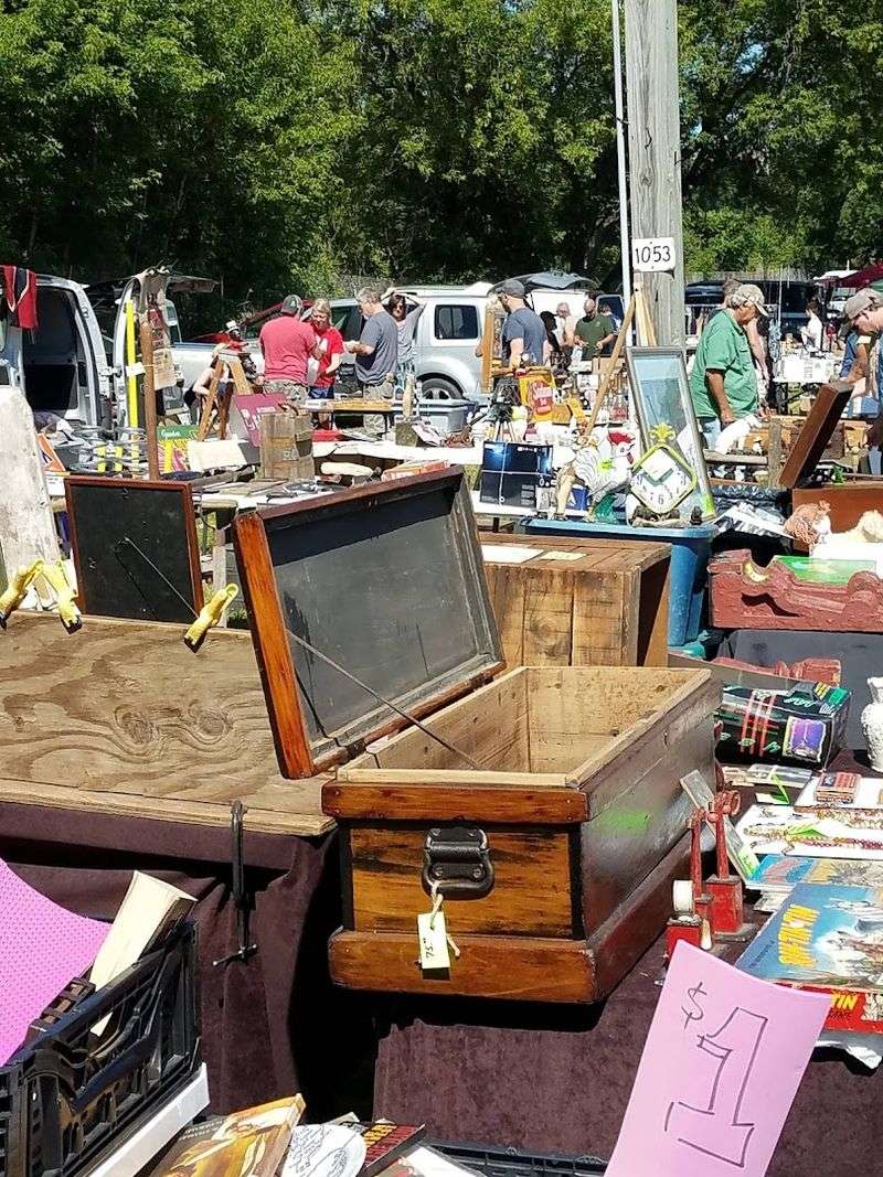 Antiques, Collectibles, and Treasures Hiding in Plain Sight