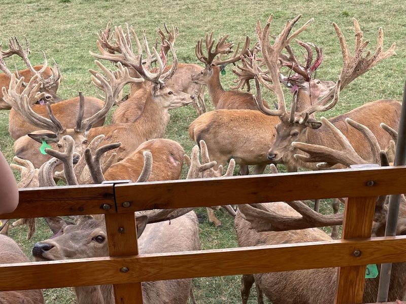 A Relaxed Family Stop for Kids of All Ages