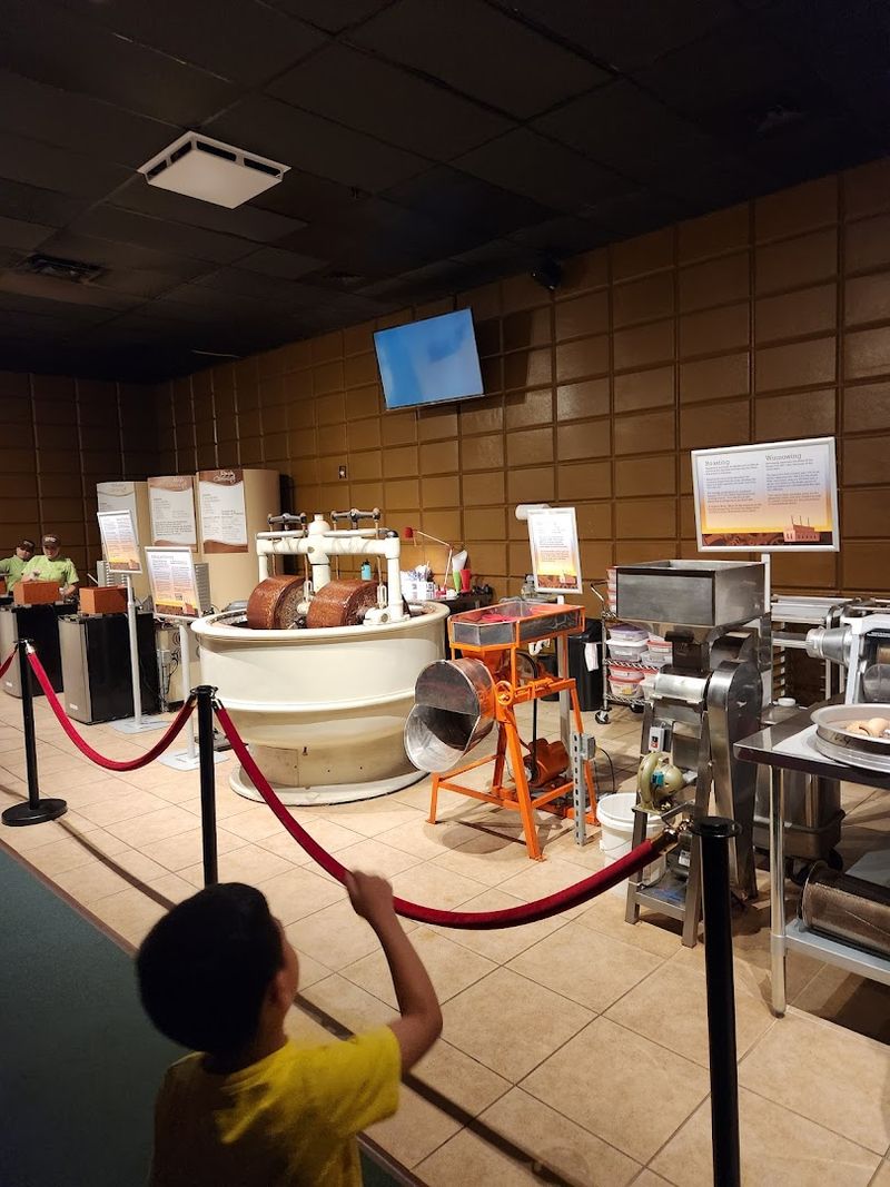 Explore a One-of-a-Kind Chocolate Museum