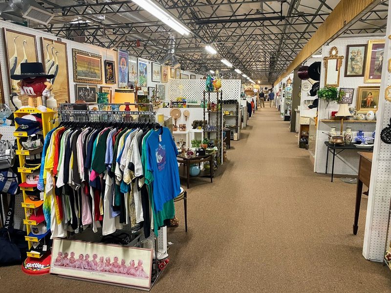 A Carefully Organized (But Still Overwhelming) Layout