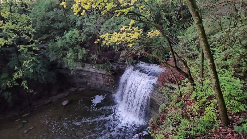 Where Millikin Falls Fits Into the Picture