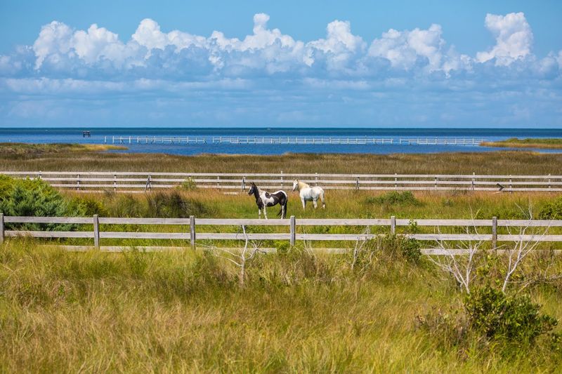 A Culture Shaped by Isolation