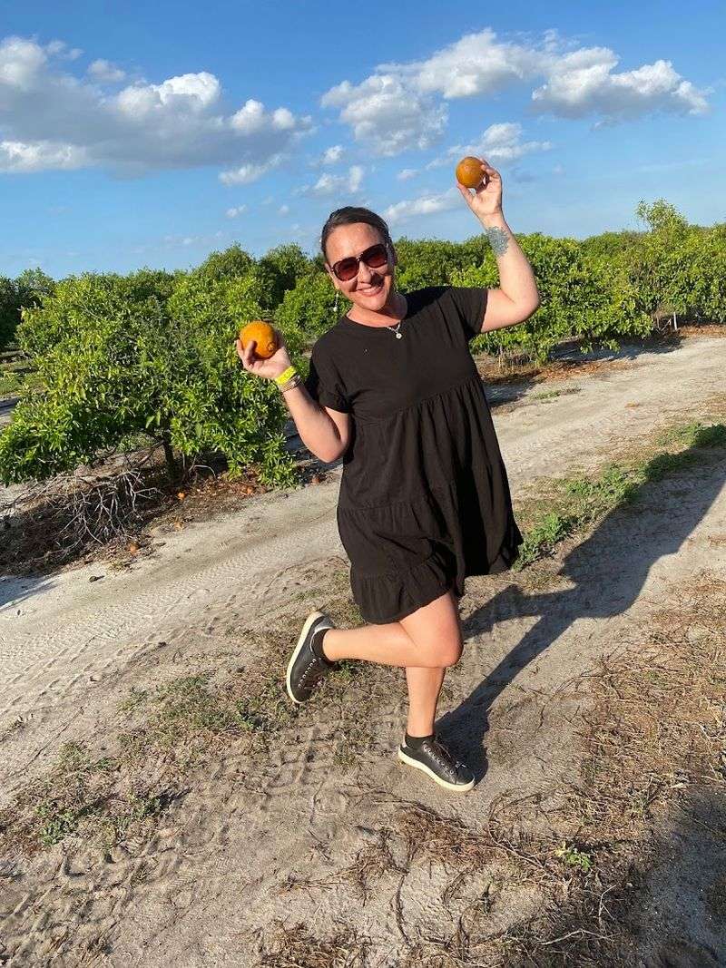 U-Pick Citrus Straight From the Grove