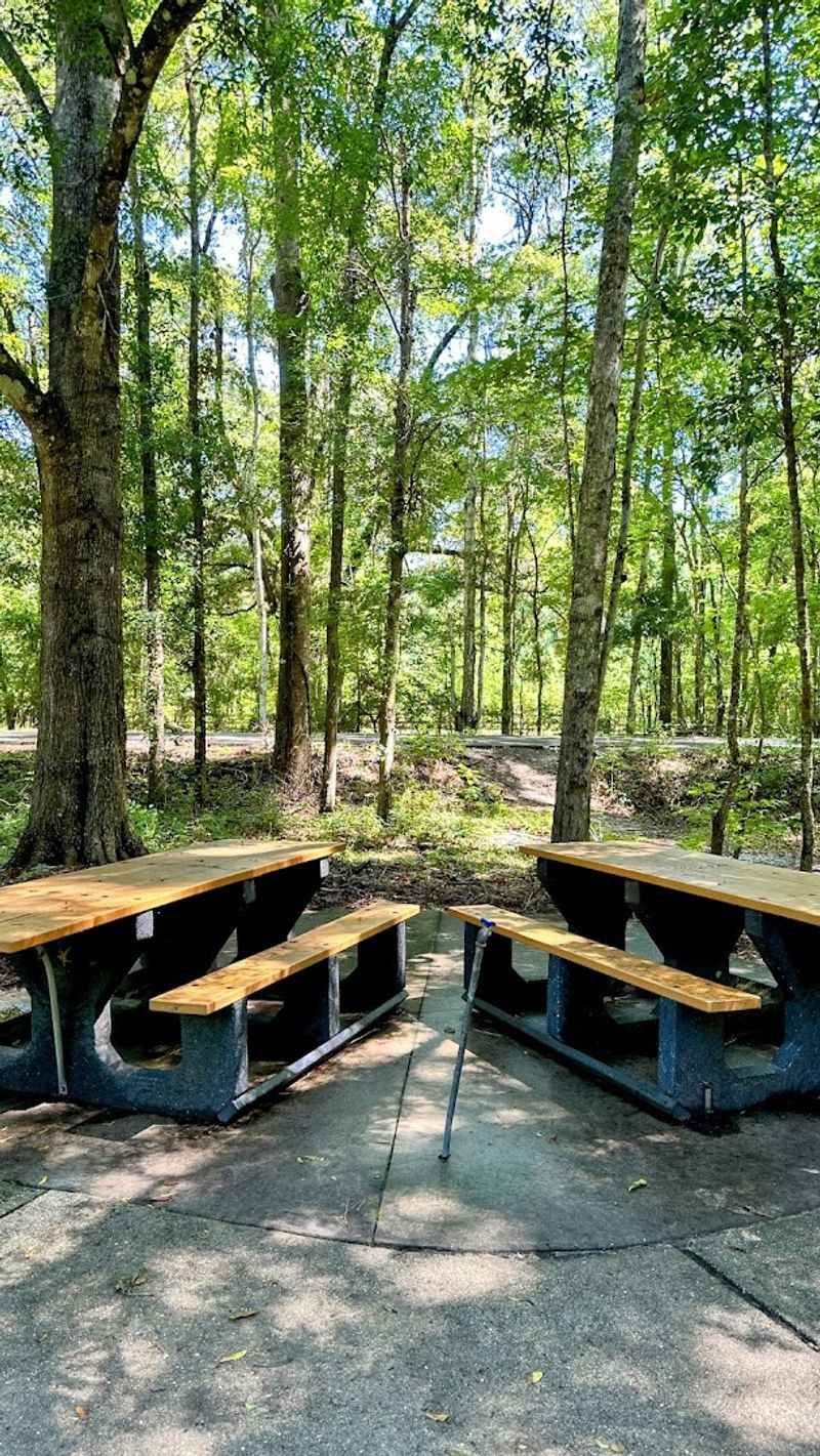 Jacksonville-Baldwin Bike Trail