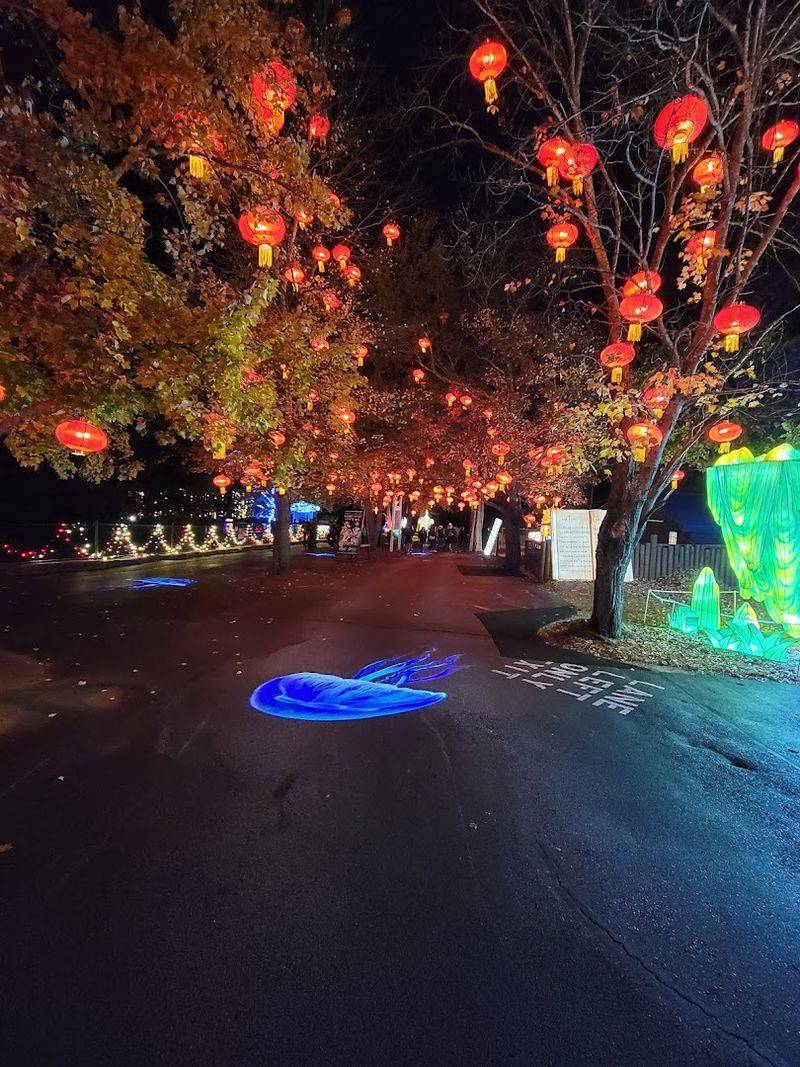 Seasonal Events: Halloween Spooktacular and Christmas Wonderland