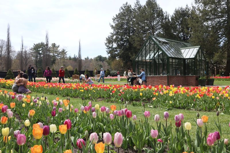 The Gardens at Elm Bank