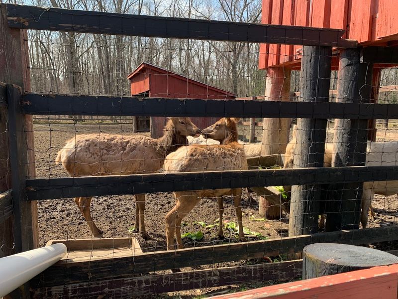 Planning a Smooth Visit to Nash Hill Road