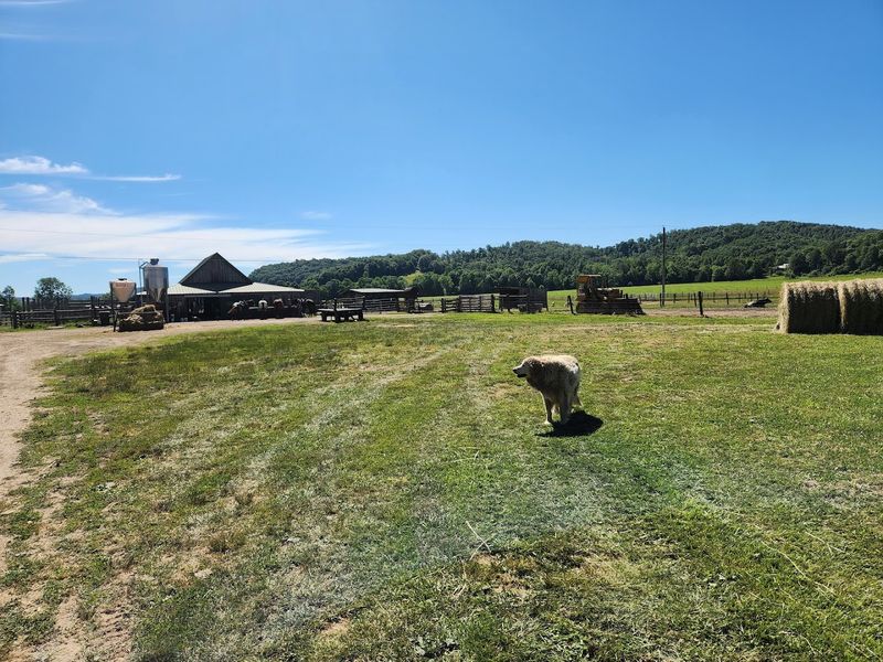 Sprawling 500-Acre Property With Diverse Landscapes