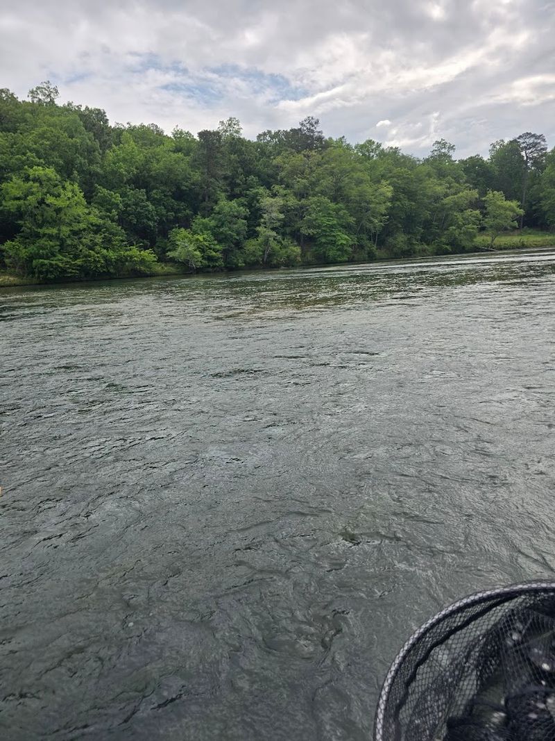 Flint River Water Trail
