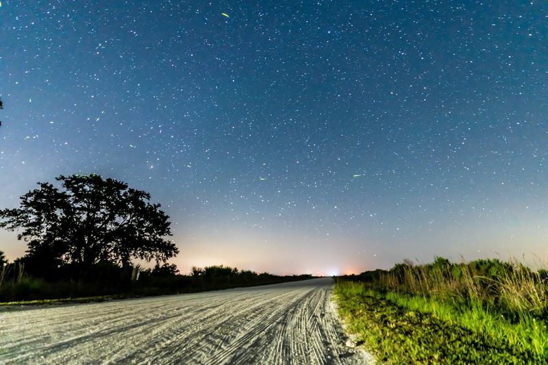 Why This Park Offers One of Florida's Most Unique Escape Experiences