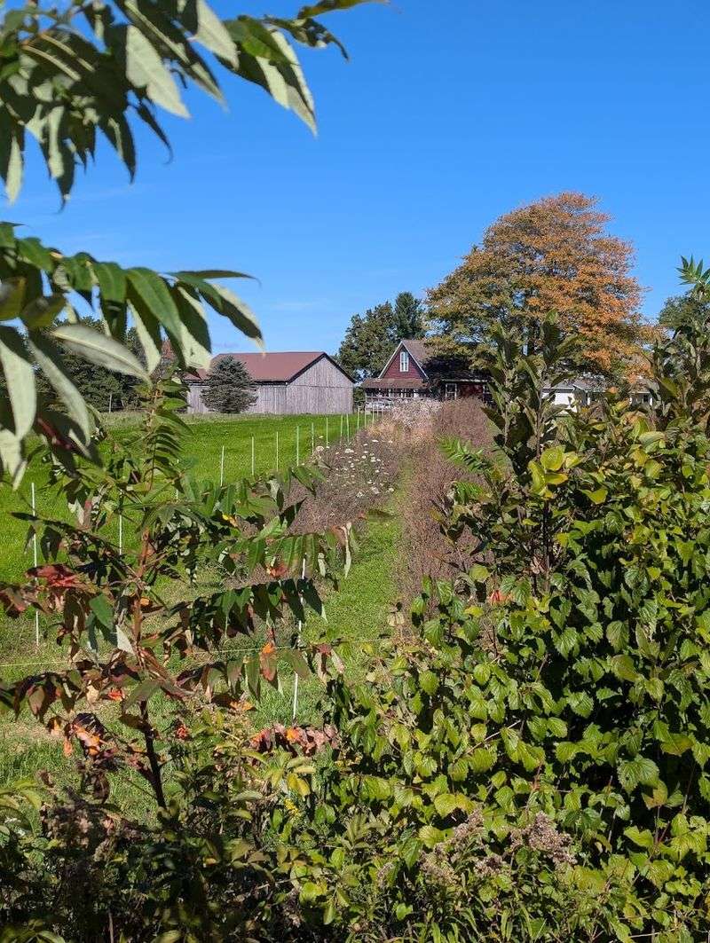 Rail 66 Country Trail (Clarion County)