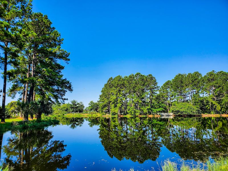 Coastal Georgia Botanical Gardens