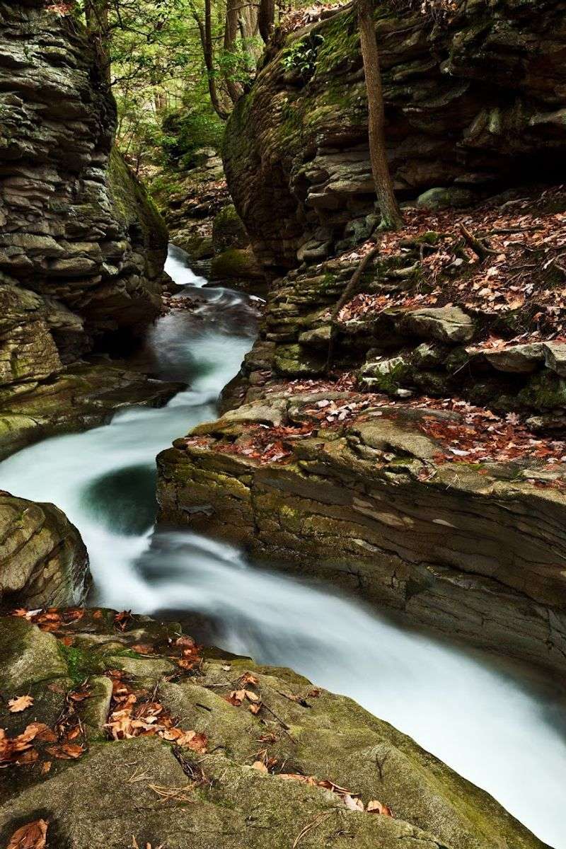 Wheelbarrow Run Stream Corridor