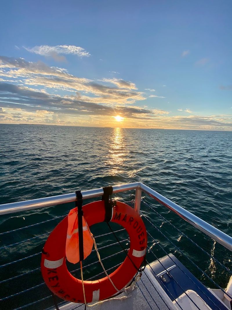 Sebago Watersports Reef Cruises - Key West