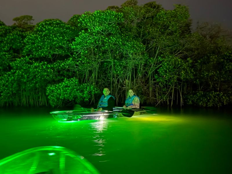 Sharkey's Glass Bottom Tours - St Pete Beach