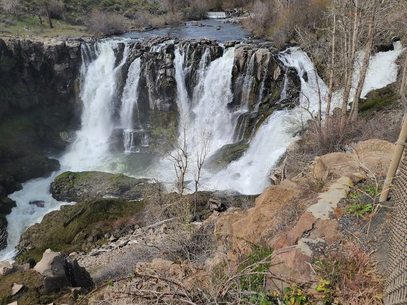 Thunderhole Falls Trail (Near Cashiers)