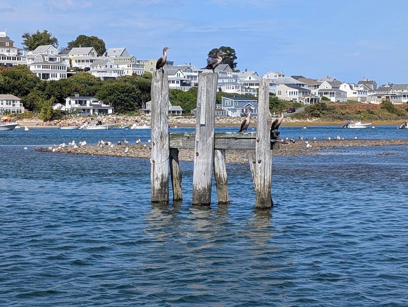 Ipswich — Salt Marshes, Clam Shacks, and a Medieval House Still Standing
