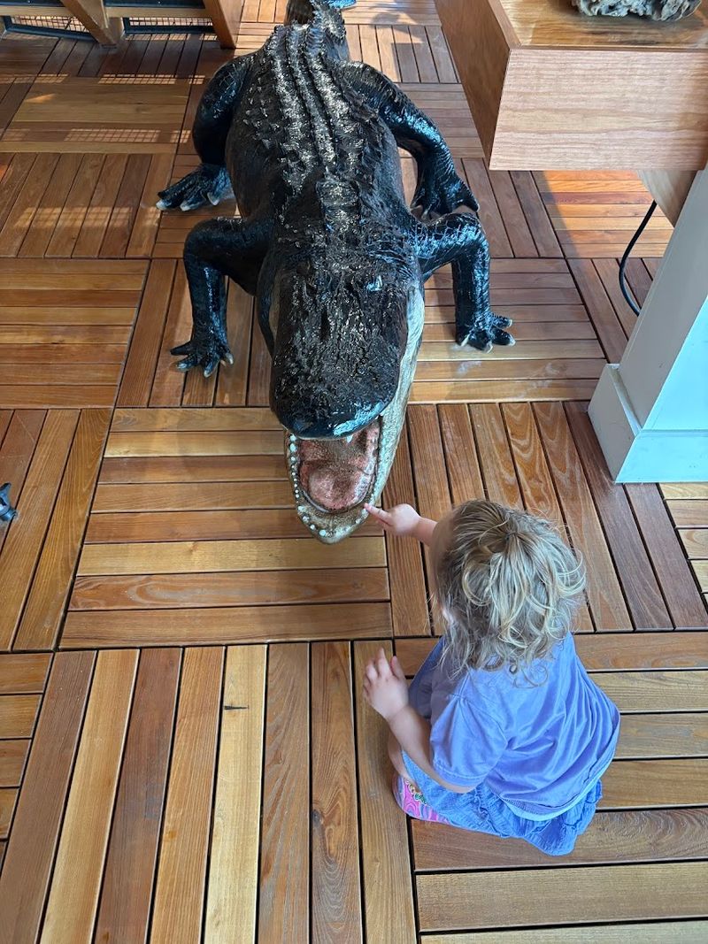 Tybee Island Marine Science Center