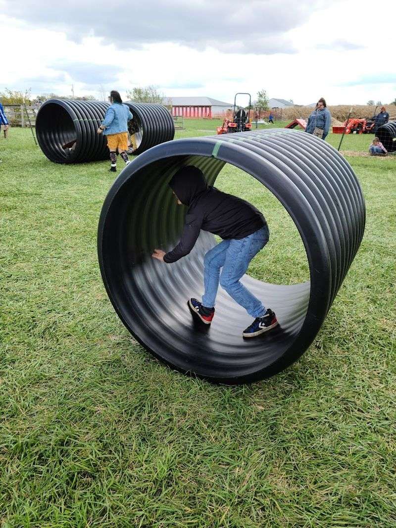 What Kids Experience Here That They Cannot Get at a Zoo