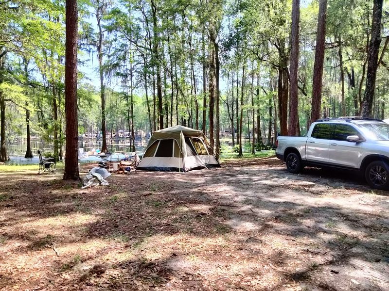 Primitive Tent Camping Under the Stars