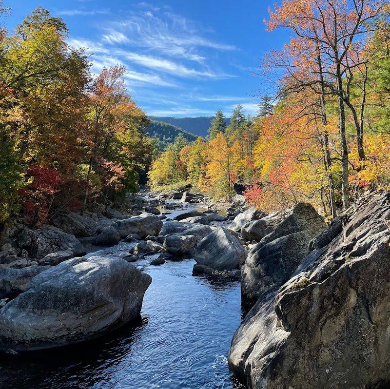 Linville Gorge Wilderness