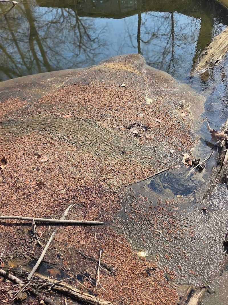 Wildwood Park Nature Play Area, Harrisburg
