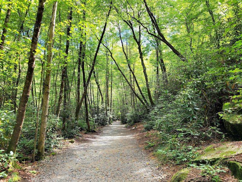 The Trails System: Miles of Adventure for Every Skill Level