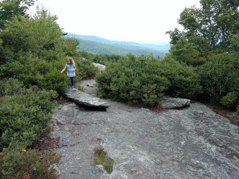 Beacon Heights Trail