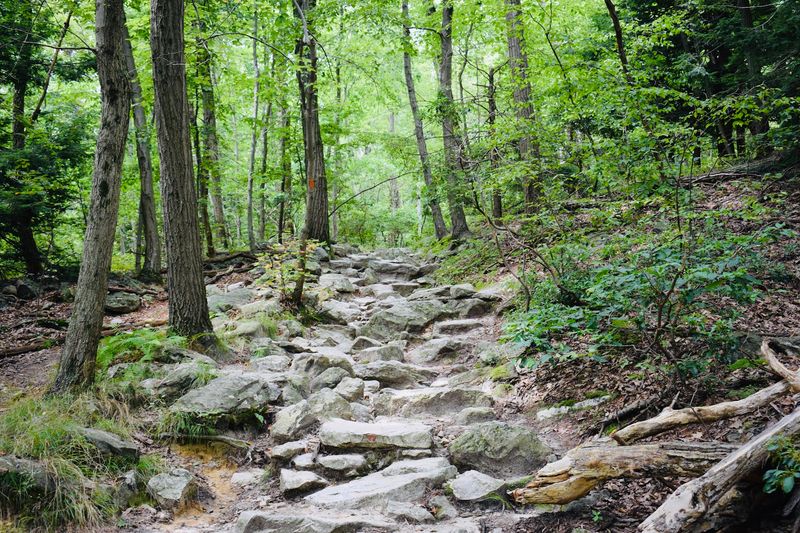 Hawk Mountain Lookout Trail