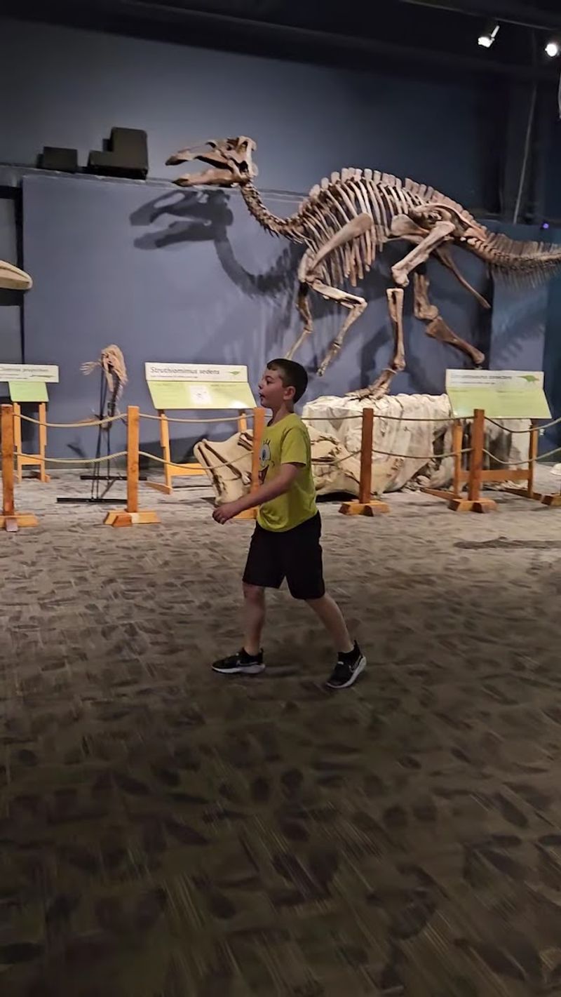 Orlando Science Center