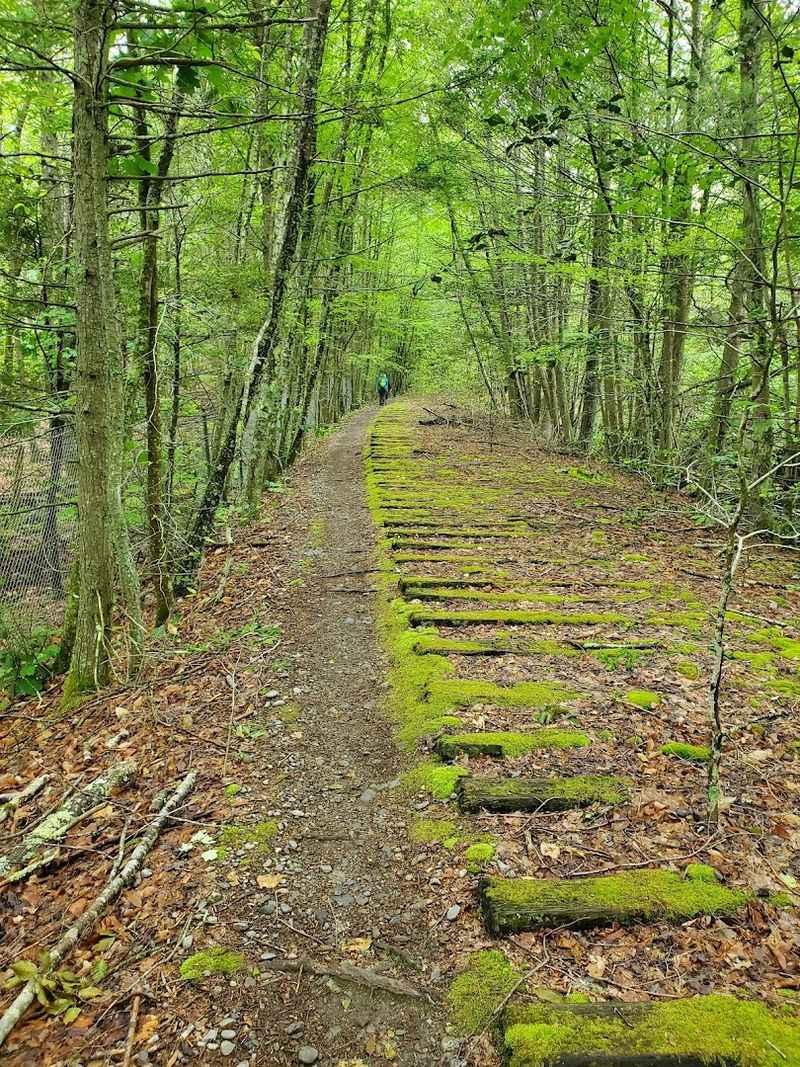 Wompatuck State Park
