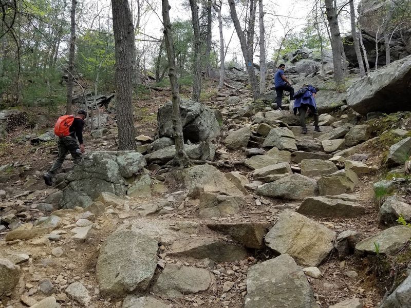 Blue Hills Skyline Loop