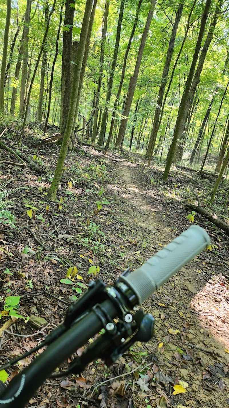 Mohican Mountain Bike Trail