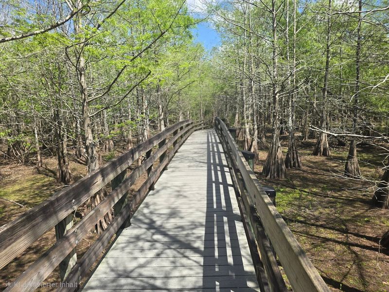 Six Mile Cypress Slough Preserve &mdash; Fort Myers, FL