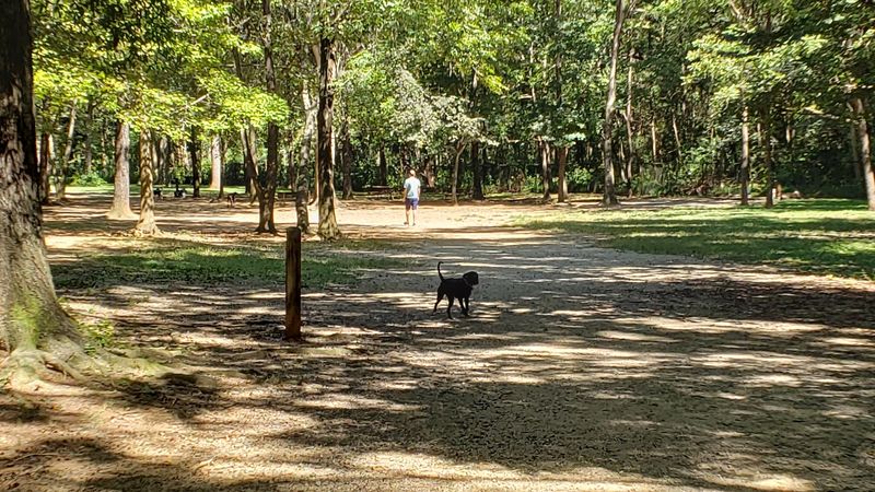William R. Davie Park Dog Area - Charlotte, NC