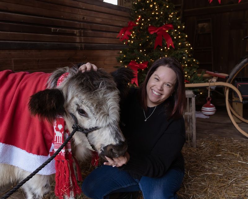Kiss a Cow Photos and Cuddles
