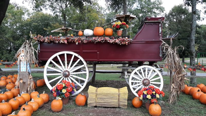 Seasonal Events That Transform the Farm
