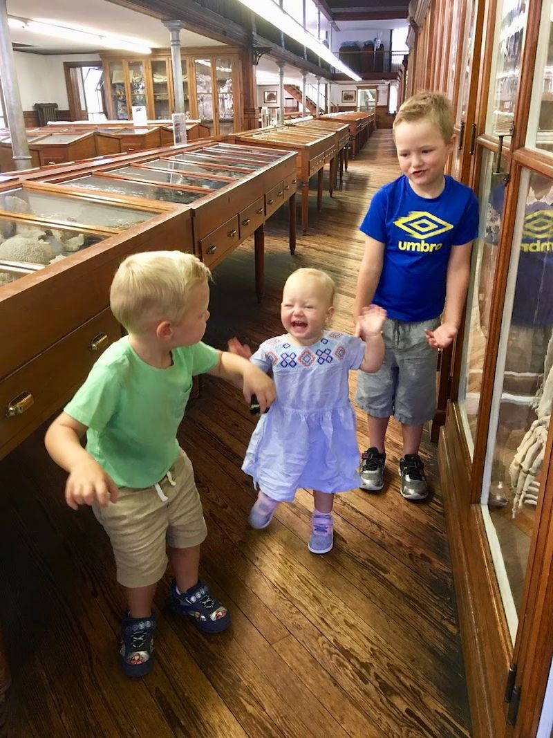 Kid-Friendly Scavenger Hunts and Family Programs