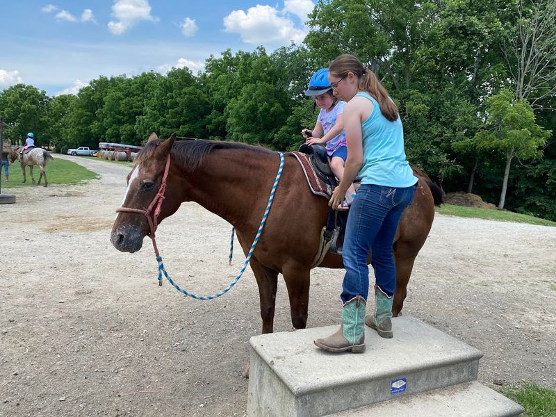 Knowledgeable Wranglers Who Prioritize Safety and Comfort