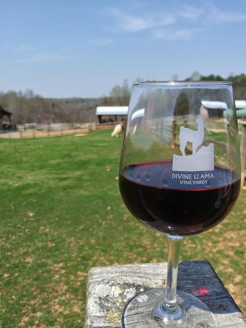 Award-winning wines grown right on the property