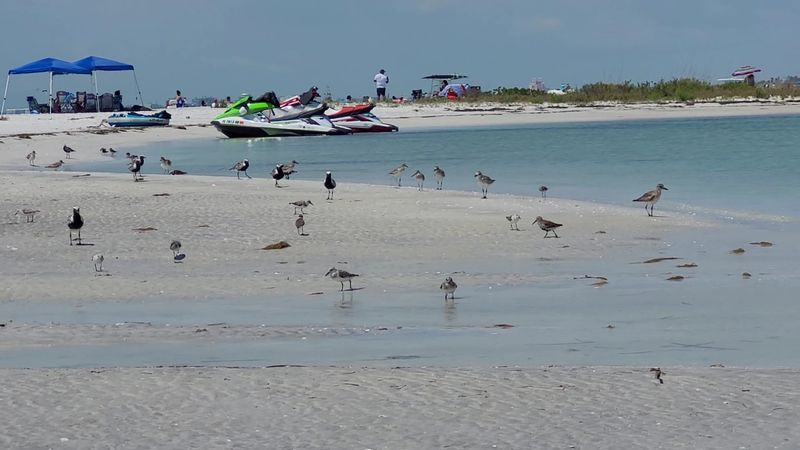 Fort De Soto Park - Tierra Verde